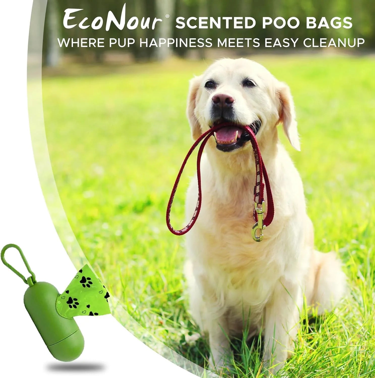 Default Title